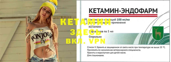 кокс Гусев