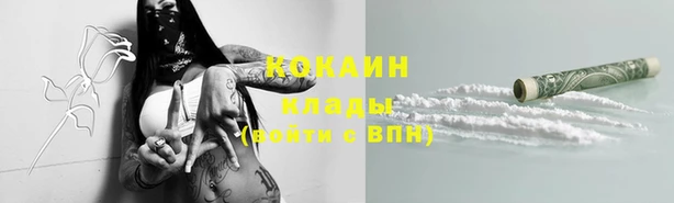 СК Вязьма