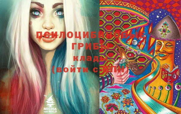 первитин Горнозаводск