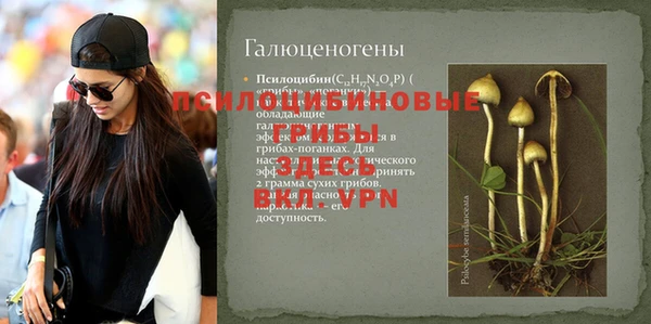 spice Горно-Алтайск
