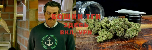 альфа пвп Горняк